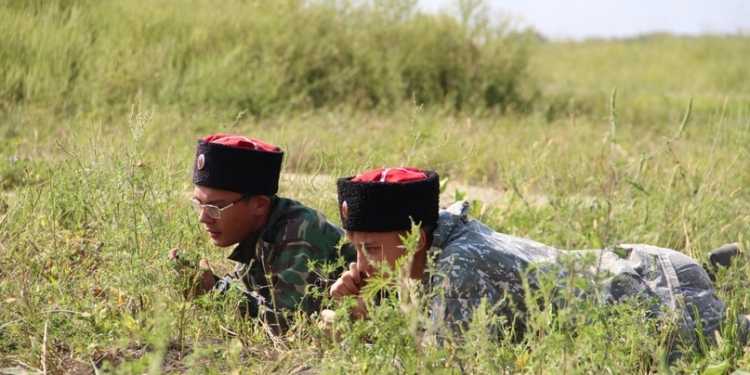 Полный курс армейской жизни