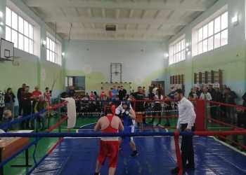 В станице Днепровской Тимашевского района прошёл 13 районный турнир по боксу