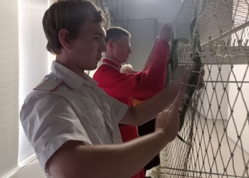 Казачья молодежь Краснодара готовит очередную партию массетей для фронта